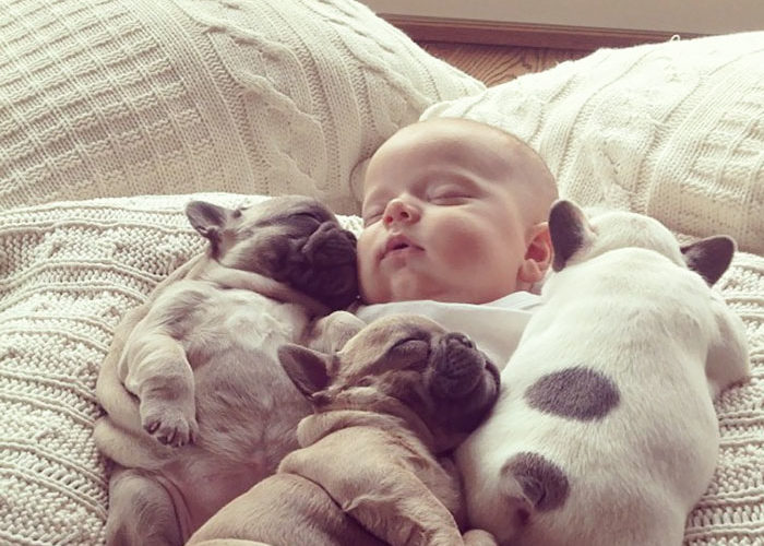  Бесподобная дружба детей с собаками, которые защищают их даже во сне!