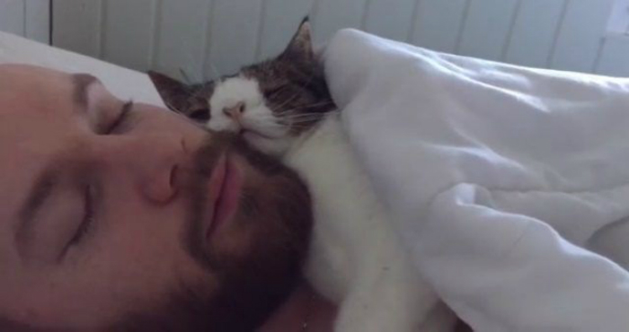  Невероятно милое видео кота и его хозяина