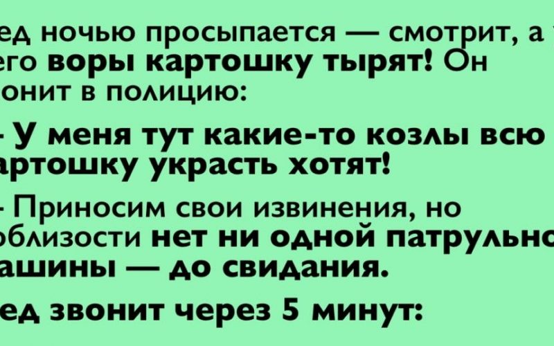  Как дедушка поставил на место полицейских своим ответом